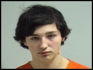 Reedsburg teen allegedly sexually assaulted 8-year-old girl, police say